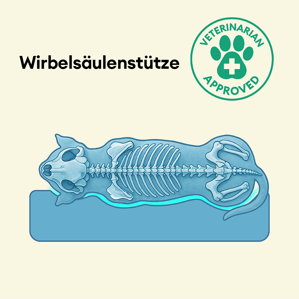 Gelenkschonendes orthopädisches Hundebett für große Hunde, fördert gesunden Schlaf & ist pflegeleicht.