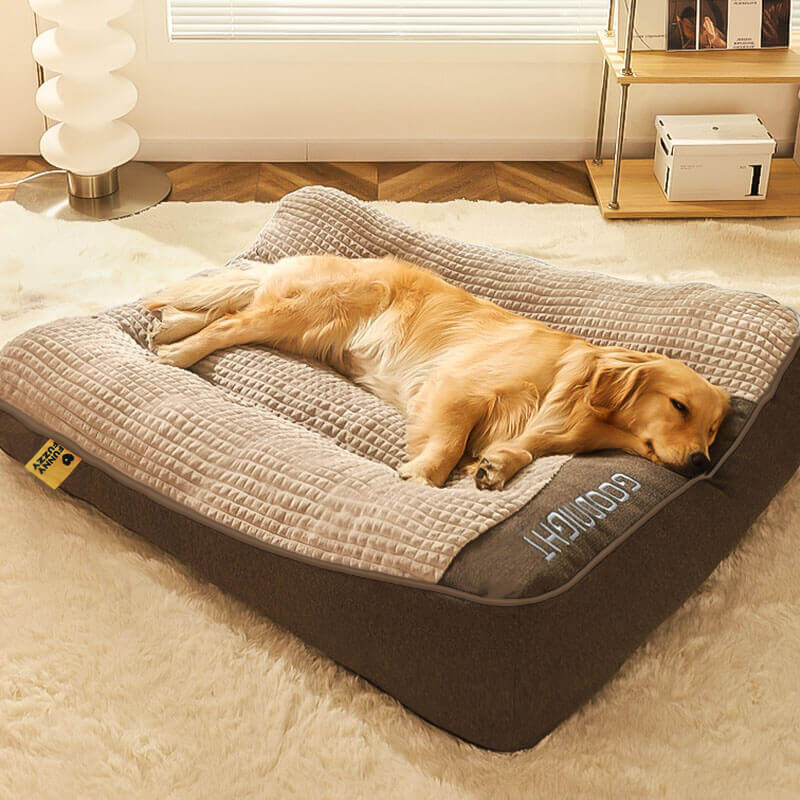 Orthopädisches Hundebett in neutraler Farbe, groß, dick und kratzfest, bietet idealen Wirbelsäulenschutz.