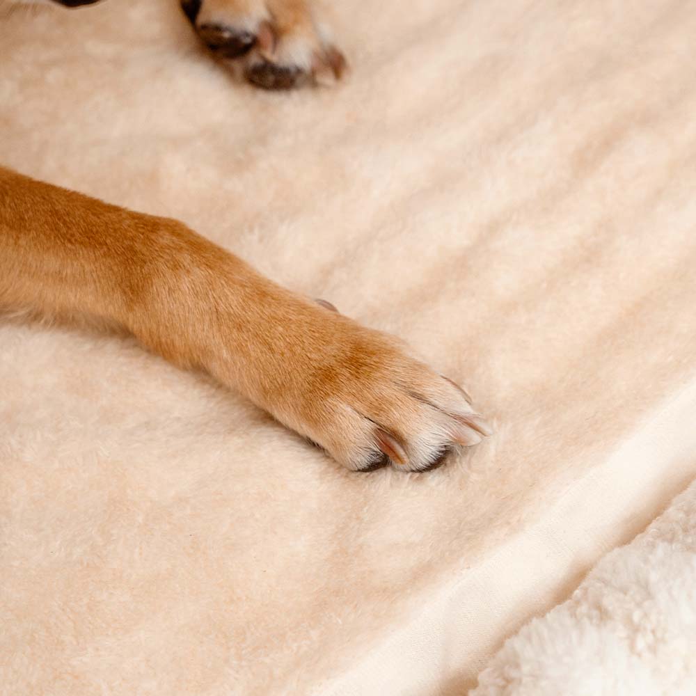 Schwarzes Streifen-Hundebett (S), orthopädisch, mit weichem Liegegefühl.