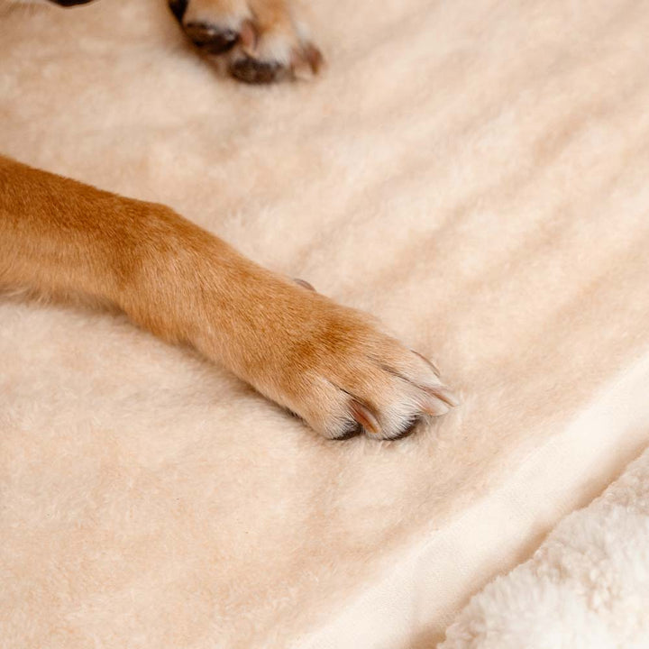 Schwarzes Streifen-Hundebett (S), orthopädisch, mit weichem Liegegefühl.