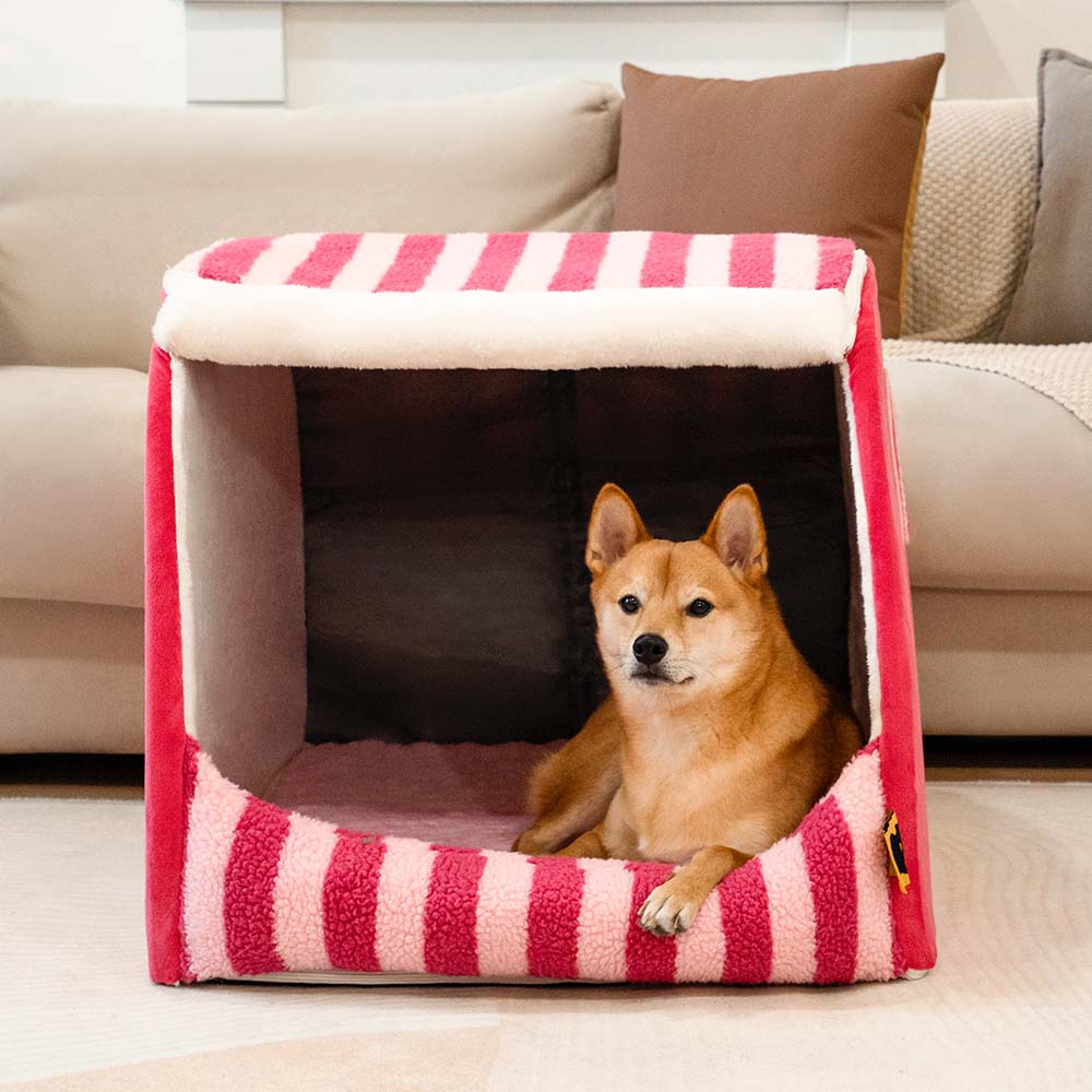 Schwarzes orthopädisches Hundebett (L) mit Streifenmuster, ideal für große Hunde.
