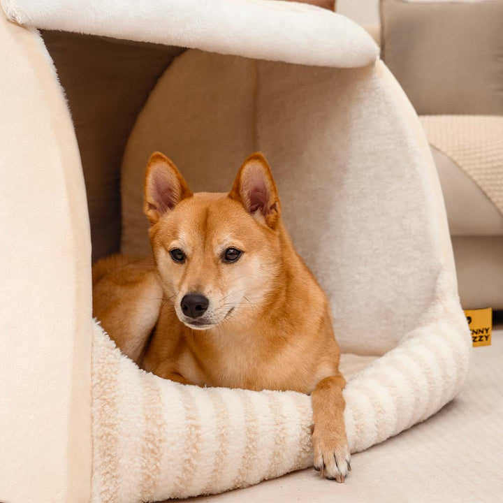 Gestreiftes Hundebett in Rose, orthopädisch, ideal für erholsamen Schlaf.