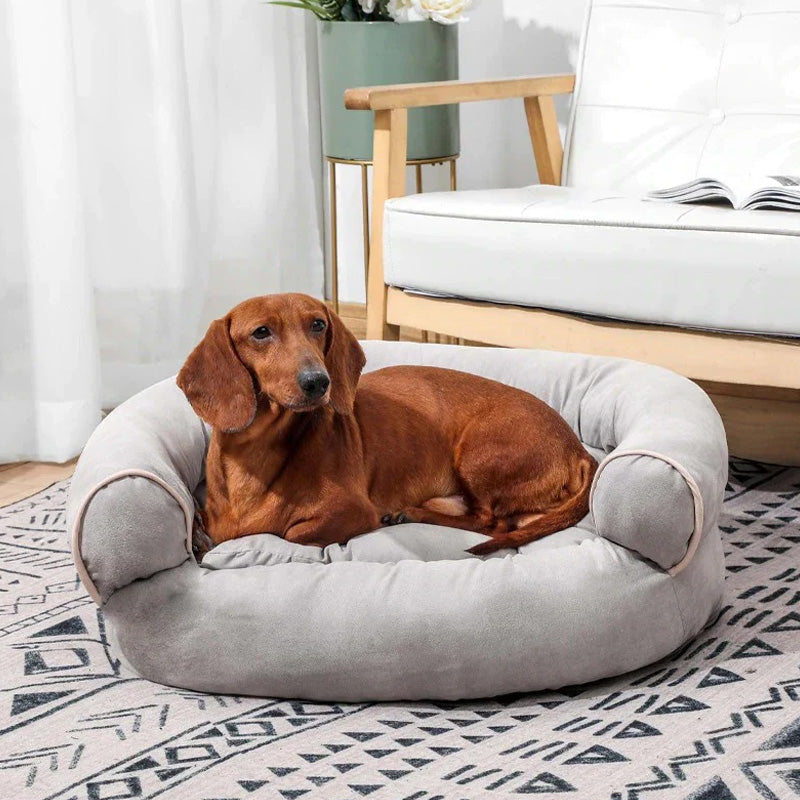 Kratzfestes und waschbares orthopädisches Hundesofa, ideal für ältere Hunde.