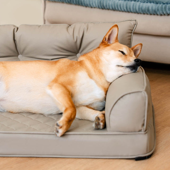 Robustes faltbares Kunstleder-Hundebett, orthopädisch, idealer Schlafplatz für große Hunde.