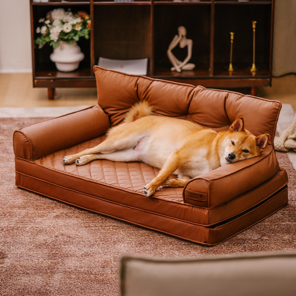 Großzügiges faltbares Kunstleder-Hundebett, orthopädisch, viel Platz für große Hunde zum Ausstrecken.