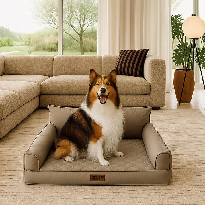 Hochwertiges orthopädisches Kunstleder-Hundebett, faltbar, optimal für große Rassen und Senioren.