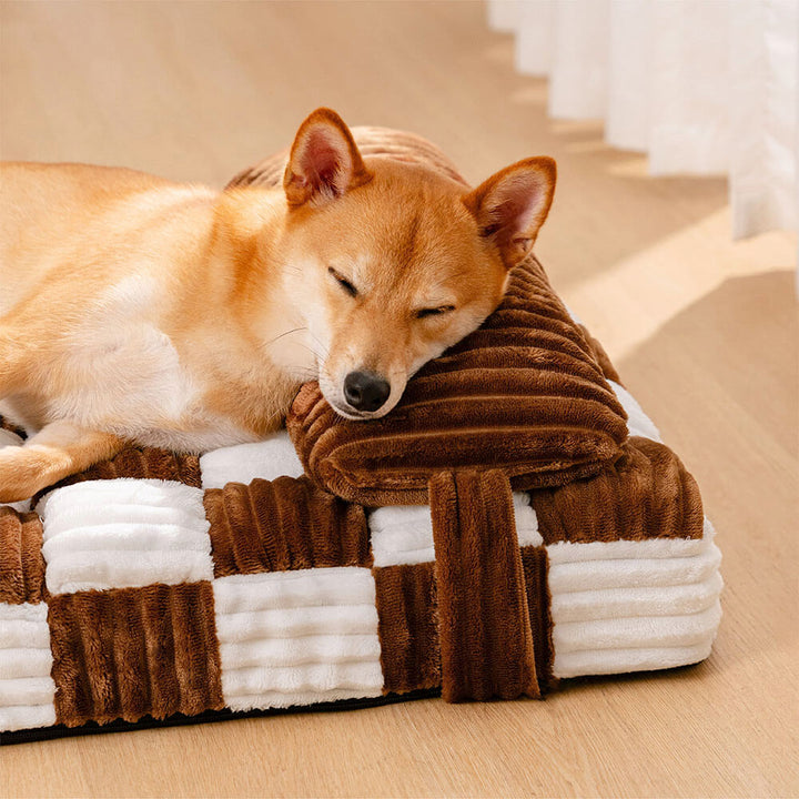 Braunes Plüsch-Hundebett, orthopädisch, pflegeleicht und gelenkschonend für kleine Hunde und Welpen.