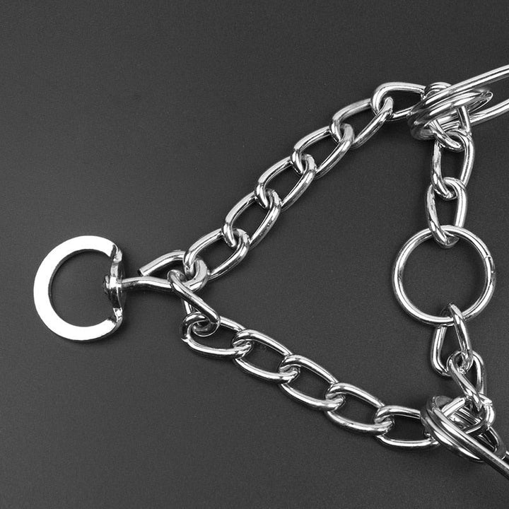 Effektives Trainingshalsband für Hunde, verstellbar, sichere Kontrolle beim Gassigehen.