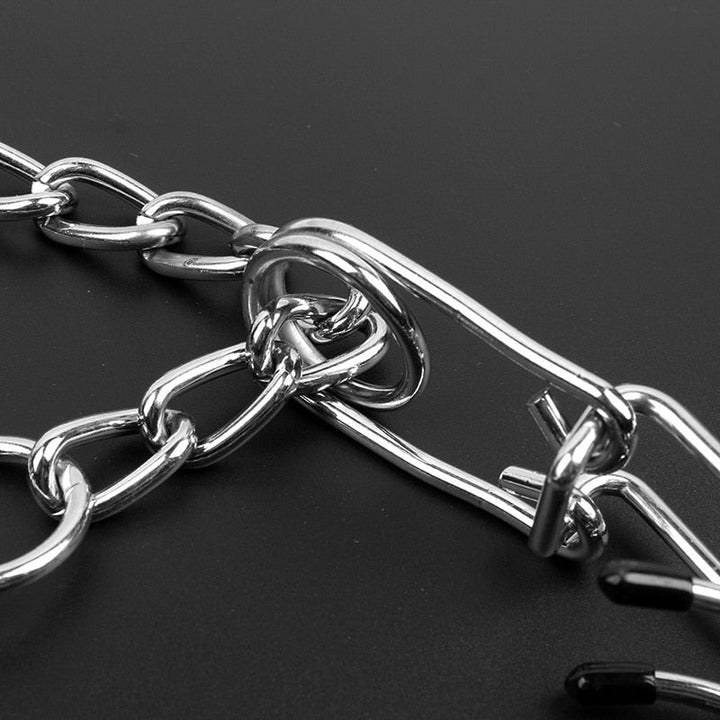 Groomy20240903 Pinchhalsband für Hunde, verstellbar, fördert Gehorsamkeit & Leinenführigkeit.