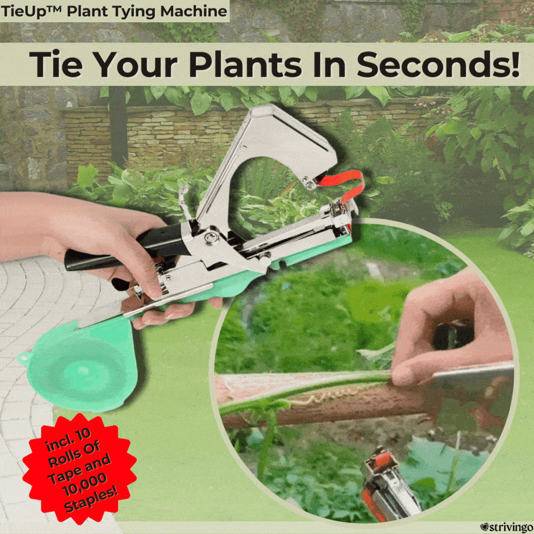 Pflanzenbindemaschine Set für den Garten, automatische Klammerpistole als effizientes Gartenwerkzeug für Pflanzenstütze.