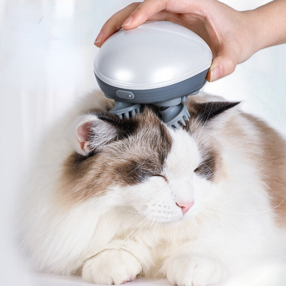 Katzen Massagegerät für Entspannung & Wohlbefinden, zur Stressreduktion & Fellpflege. Ideales Katzenzubehör.