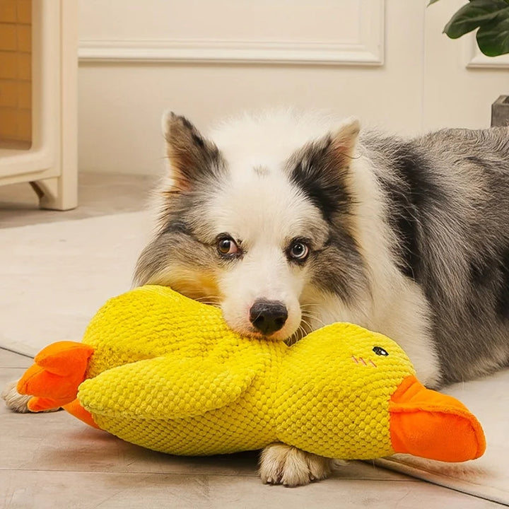 Robustes Anti-Stress Enten-Hundespielzeug aus Plüsch in Gelb-Grün mit Quietscher. Fördert Ruhe und Freude bei Hunden.