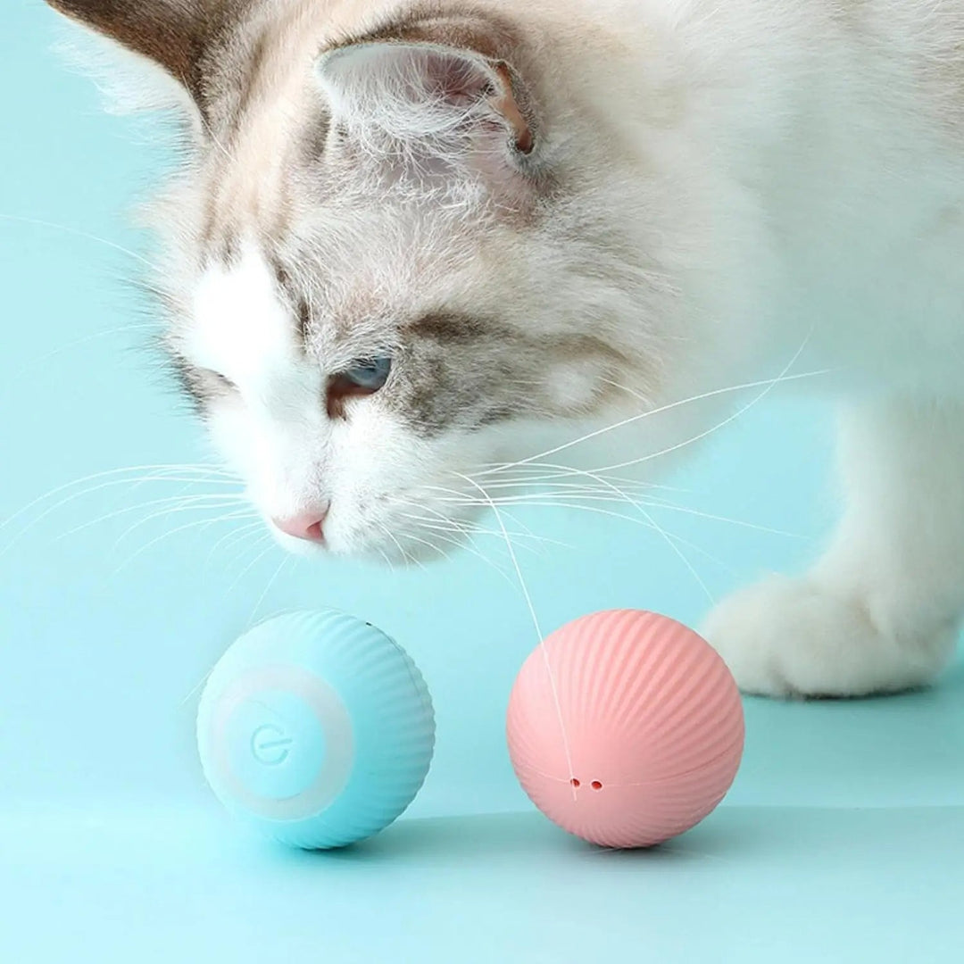 Interaktiver Katzen Spielball für aktive Katze, fördert Spiel & Bewegung, reduziert Langeweile.
