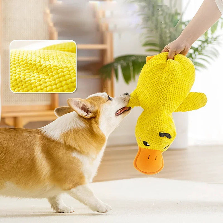 Süßes Anti-Stress Quietscher-Spielzeug, gelb-grüne Plüsch-Ente für Welpen & Hunde, bringt Freude und Ruhe ins Spiel.