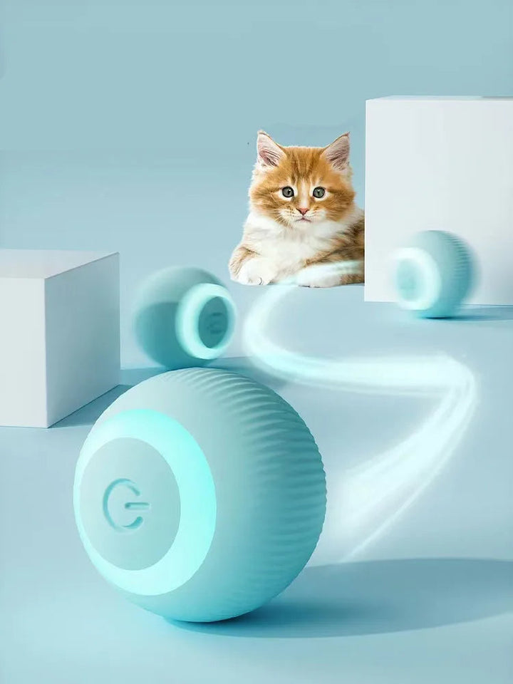 Glückliche Katze spielt begeistert mit dem interaktiven Spielball, sorgt für stundenlange Unterhaltung & Aktivität.
