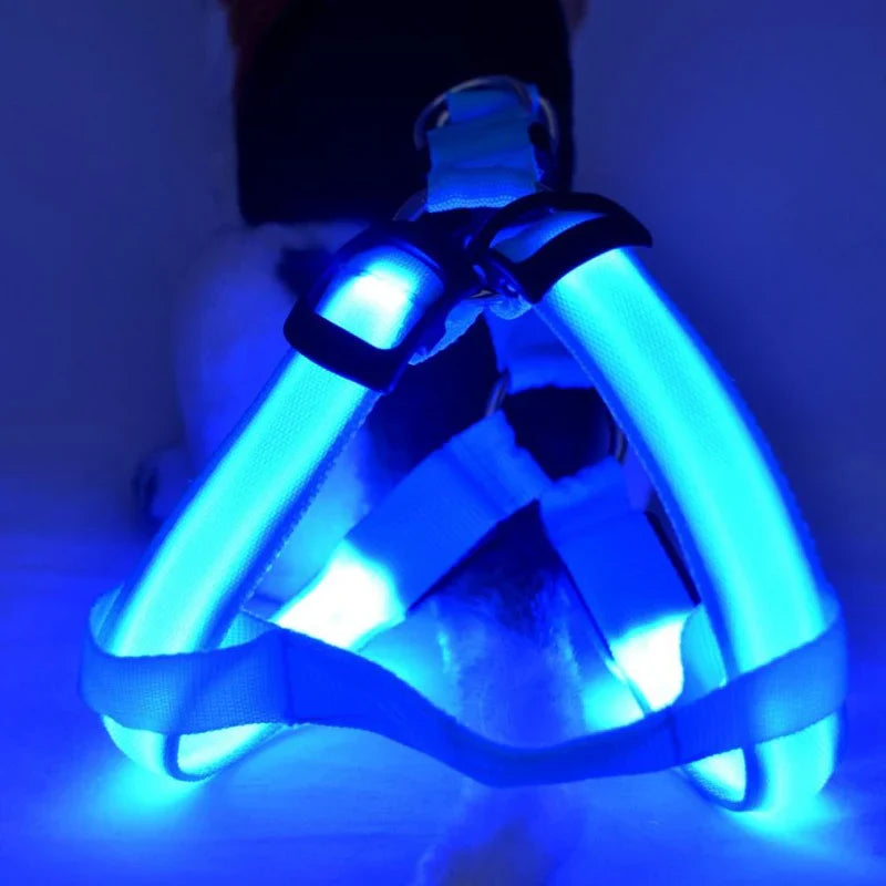 Leuchtgeschirr mit heller LED-Beleuchtung für Hunde. Maximale Sichtbarkeit und Sicherheit bei Dunkelheit.