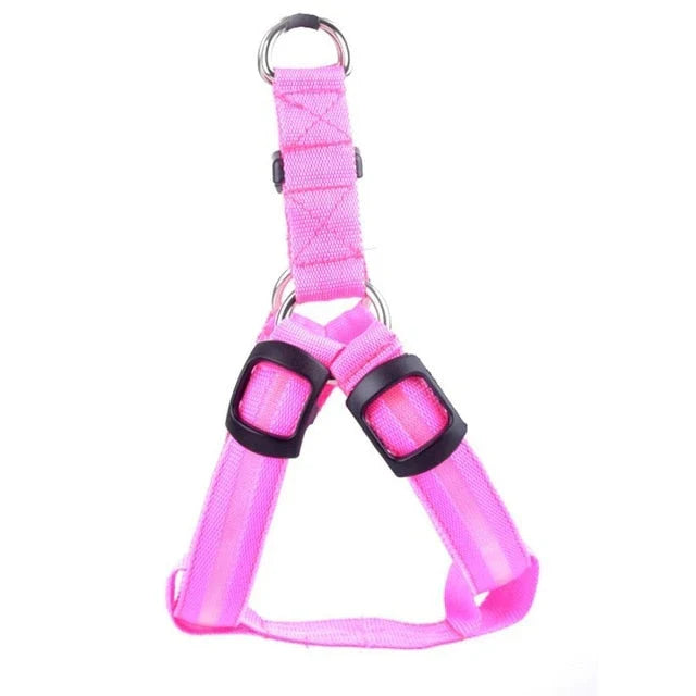 Verstellbares LED Hundegeschirr GlowSafe. Bietet Tragekomfort und Sicherheit bei Spaziergängen in Dämmerung/Nacht.