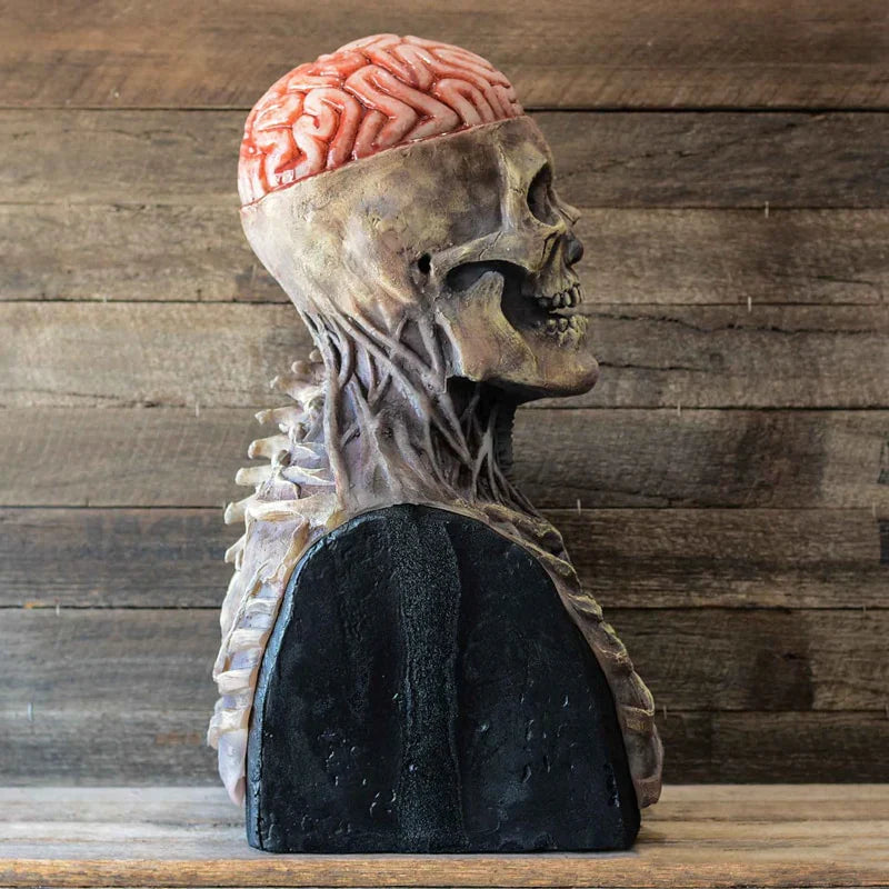 Nahaufnahme einer schaurigen Skelett Horror Maske mit schwarzen Augenhöhlen für eine authentische Halloween-Verkleidung.