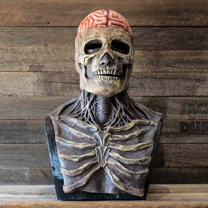 Gruselige Skelett Halloween Maske für Erwachsene, realistisch detailliert, ideal für Themenpartys und Verkleidungen.