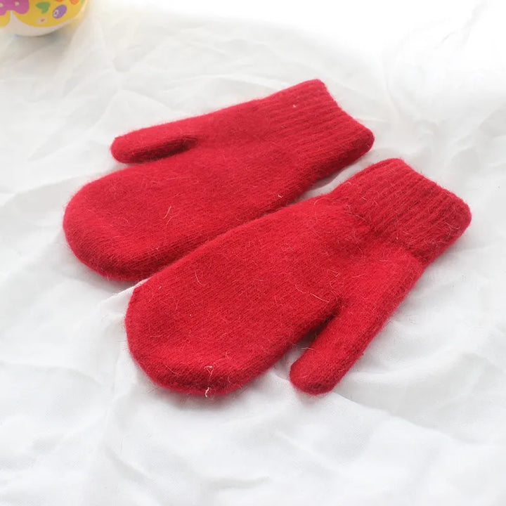 Robuste Unisex Winter Plüschhandschuhe, ideal für Outdoor-Aktivitäten bei Kälte. Warme Fäustlinge.