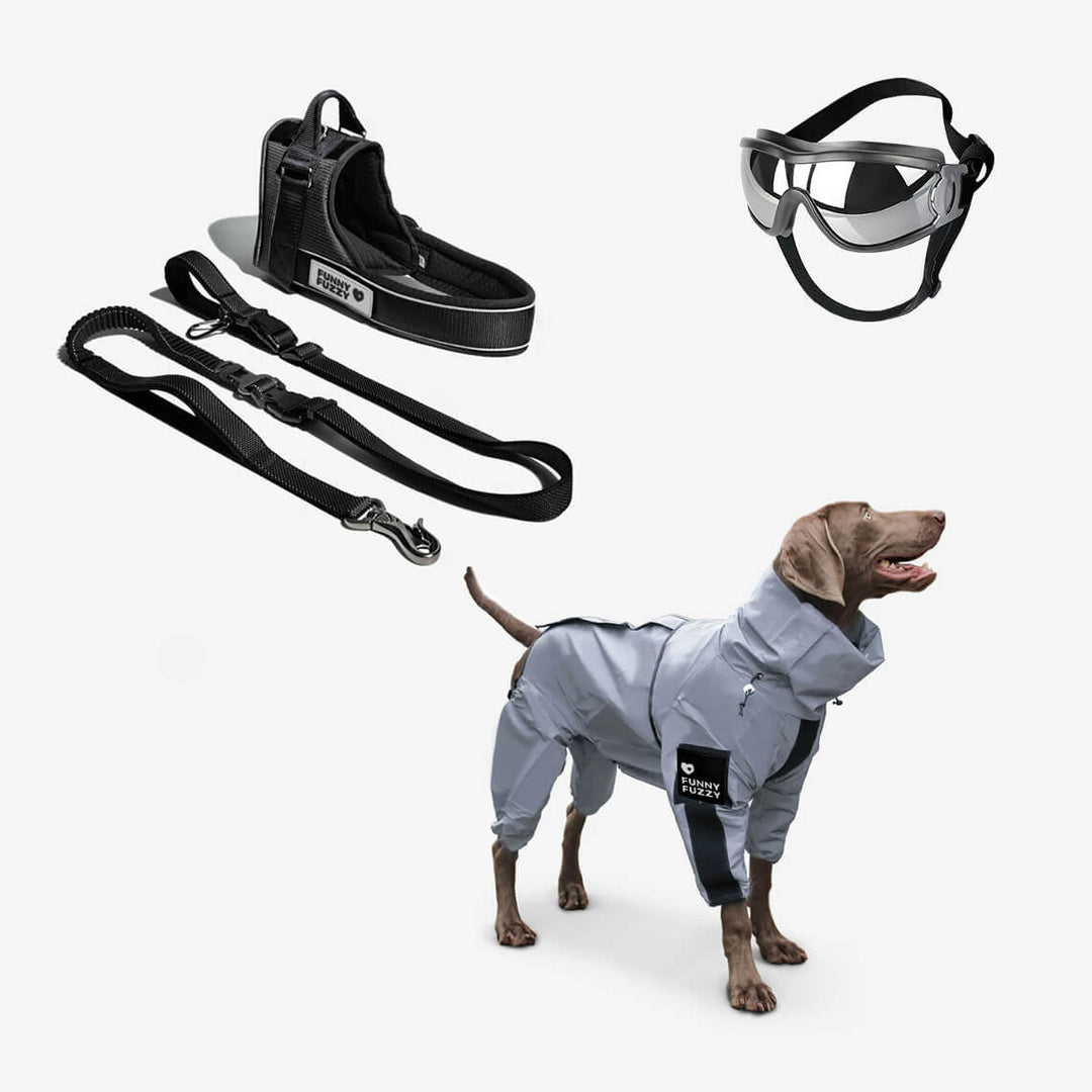 Wasserdichte Hundebekleidung: Reflektierender Regenmantel für maximalen Schutz bei schlechter Sicht.