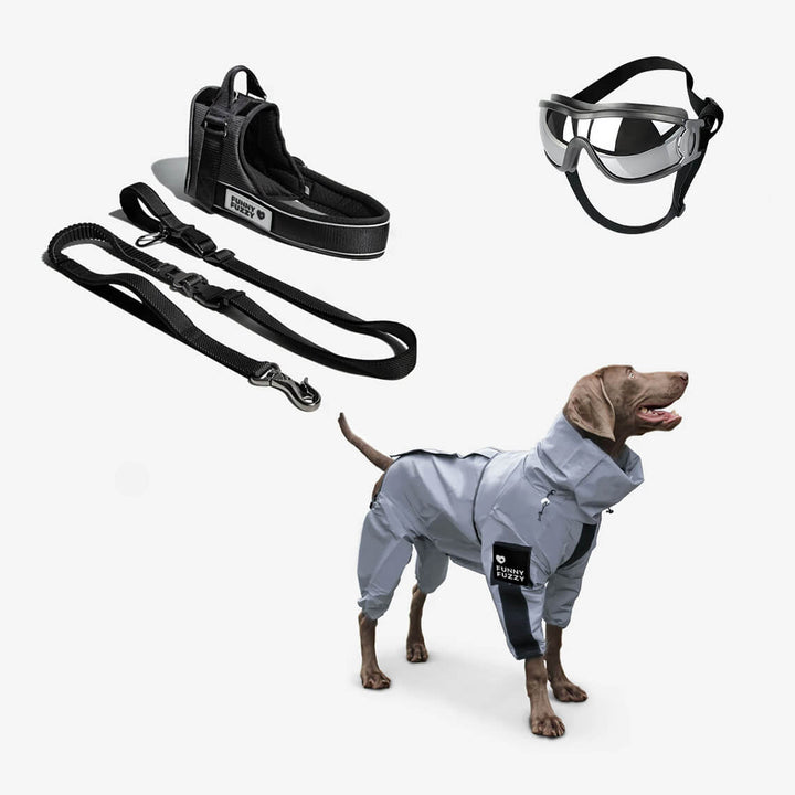 Wasserdichte Hundebekleidung: Reflektierender Regenmantel für maximalen Schutz bei schlechter Sicht.