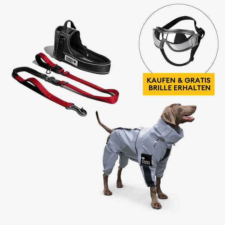 Cooler, reflektierender Hundemantel, wasserabweisend und robust, für aktive Hunde bei jedem Wetter.