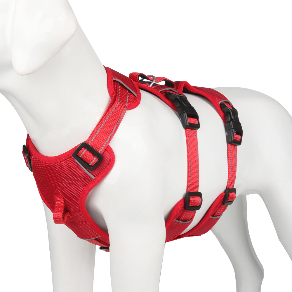 Hochwertiges reflektierendes Hundegeschirr, Nylon, komfortabel und sicher für jeden Hundespaziergang.