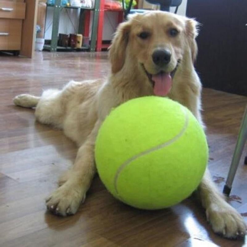 Riesiger robuster Hundetennisball für große Hunde, ideal für Spielspaß im Freien.