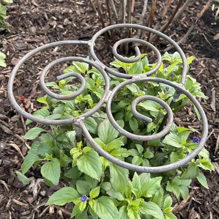 Robuste, handgefertigte Pflanzenstütze aus Metall im Spiraldesign für Gartenblumen und Stauden.