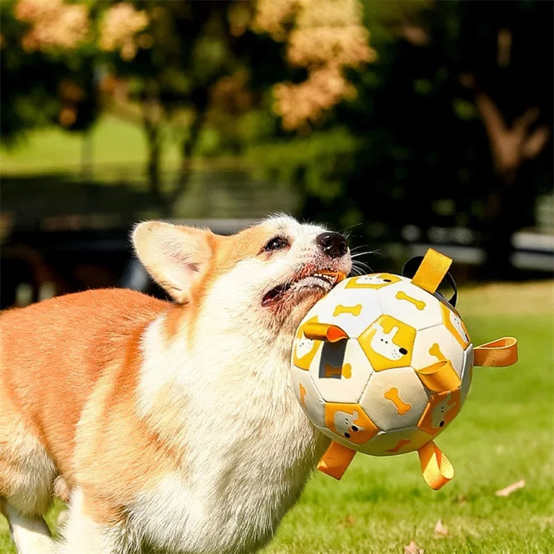 Robuster interaktiver Hundefußball aus PU-Material für langanhaltenden Spielspaß und effektives Training.