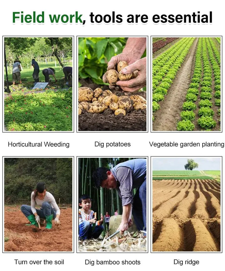 Praktischer Metall-Unkrautentferner, das ideale Handwerkzeug für die Gartenpflege von Rasen, Beeten, Wegen und Pflaster.