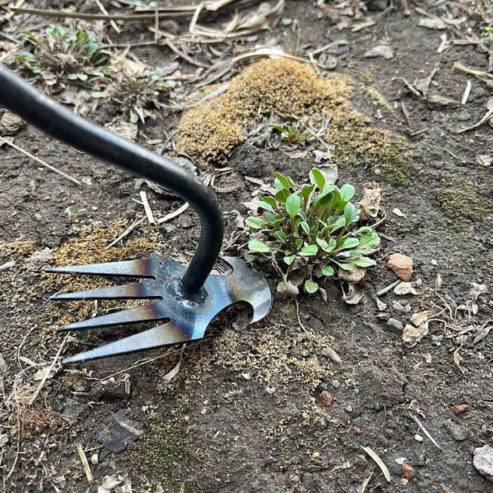 Extra robuster Metall-Unkrautentferner als langlebiges Handwerkzeug für die effektive Unkrautbeseitigung im Garten.