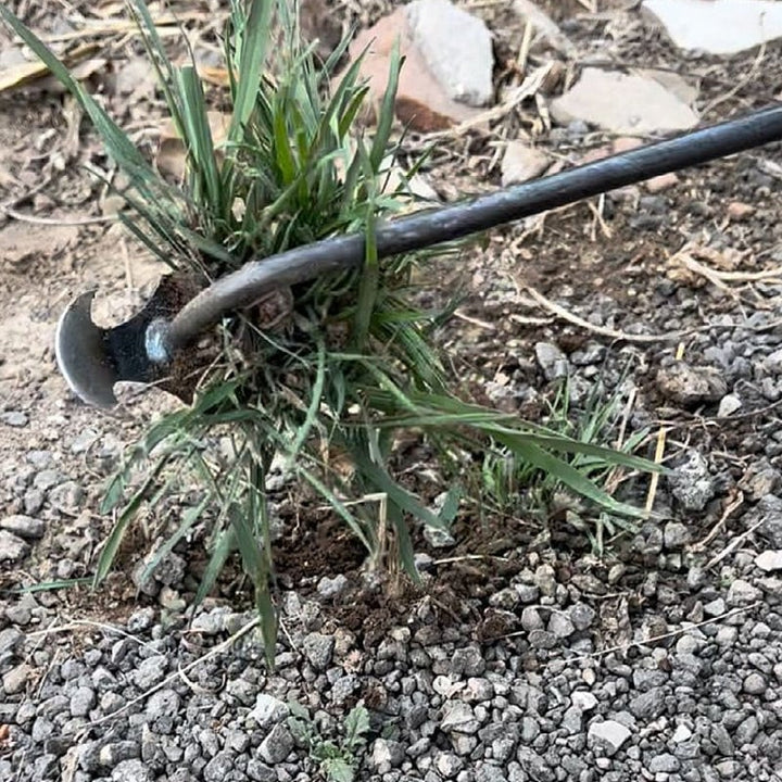 Hochwertiger Metall-Unkrautentferner, ergonomisches Gartenwerkzeug für mühelose Unkrautentfernung aus Beeten und Rasen.