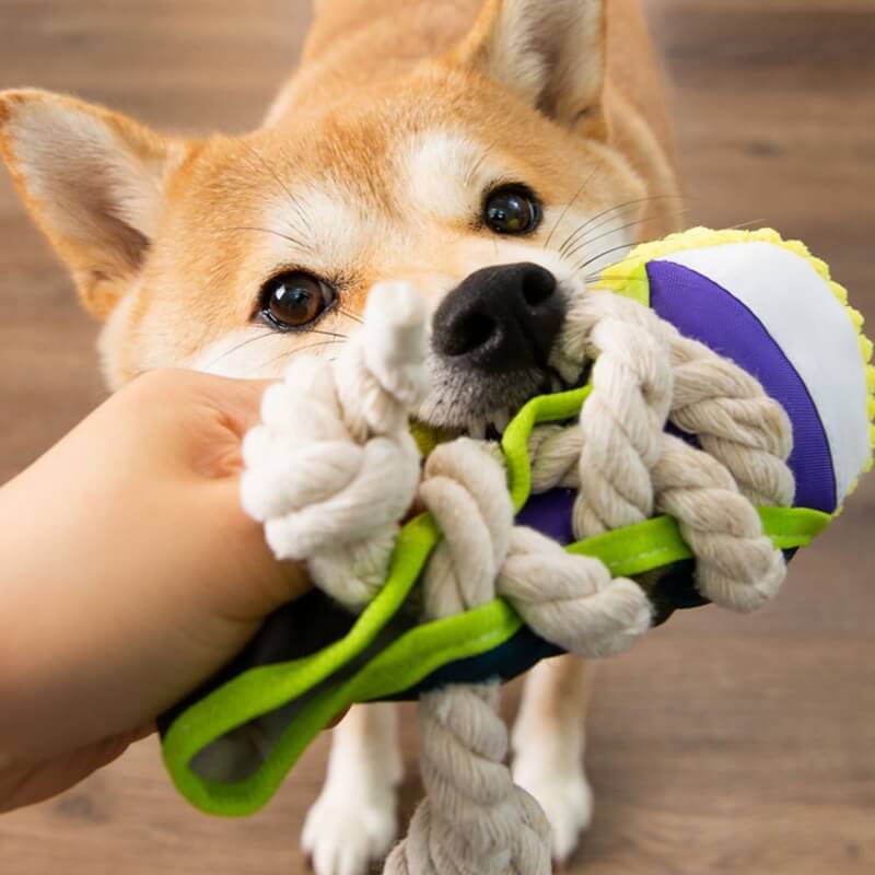 Interaktives Hunde Kauspielzeug in realistischer Schuhform, bietet langanhaltenden Spielspaß & Ablenkung.