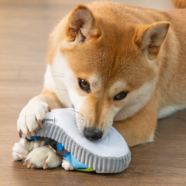 Quietschspielzeug für Hunde in origineller Schuhform, ideal zur Ablenkung & Förderung der Aktivität.