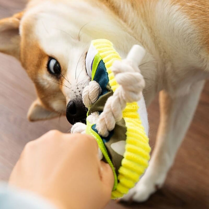 Beißfestes Hundespielzeug in Schuhform, optimales Kauspielzeug für Welpen und erwachsene Haustiere.
