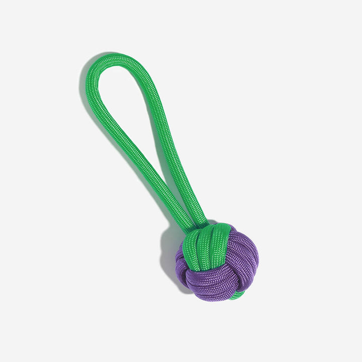 Robustes farbenfrohes Seilspielzeug für Hunde, Kauspaß und Zahnreinigung, ideal für alle Rassen.