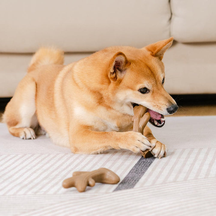Langlebiges Hundekauspielzeug mit unwiderstehlichem Speckgeschmack. Für alle Hunde geeignet.