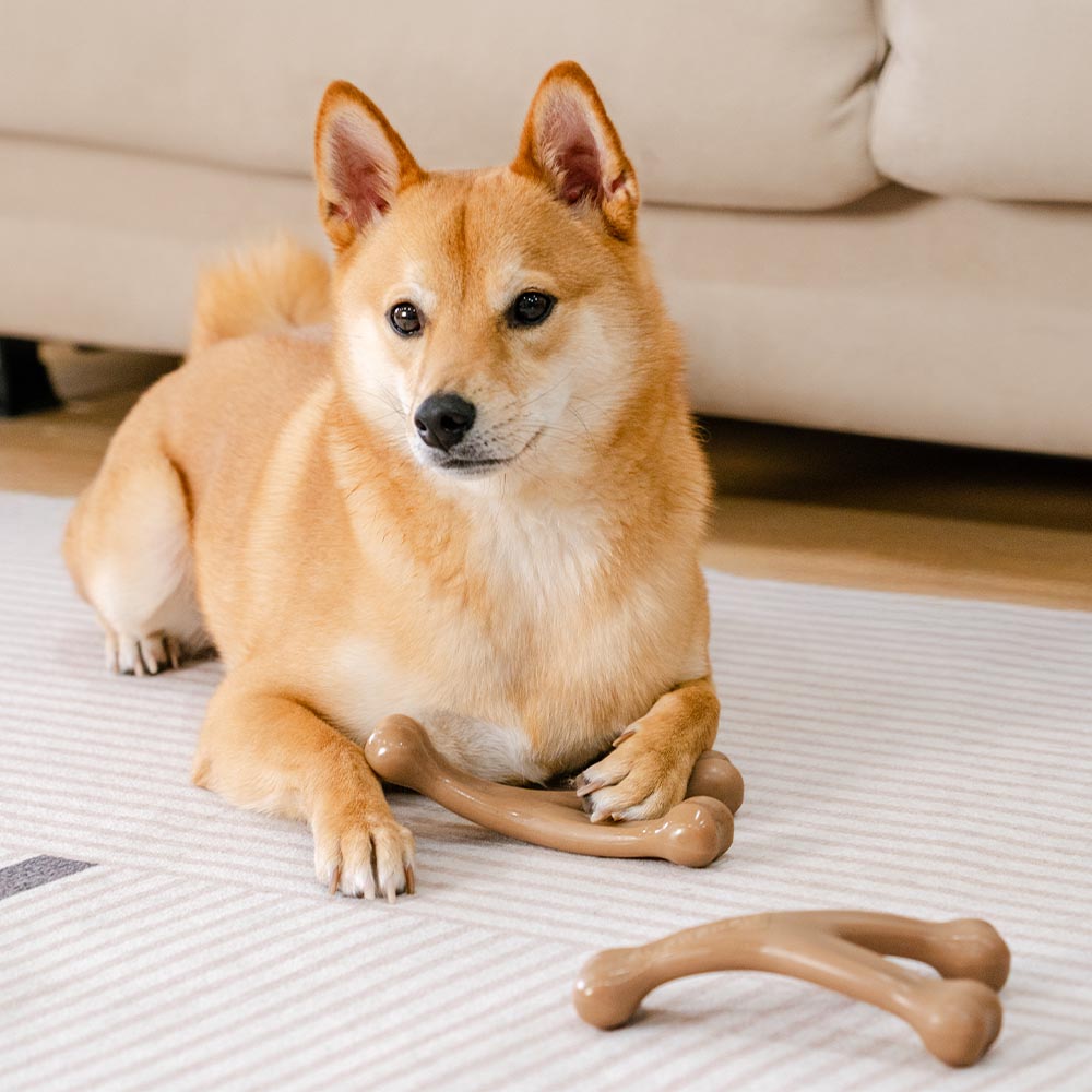 Interaktives Hundekauspielzeug für langanhaltende Zahnpflege. Robuster Kauspaß mit Aroma.