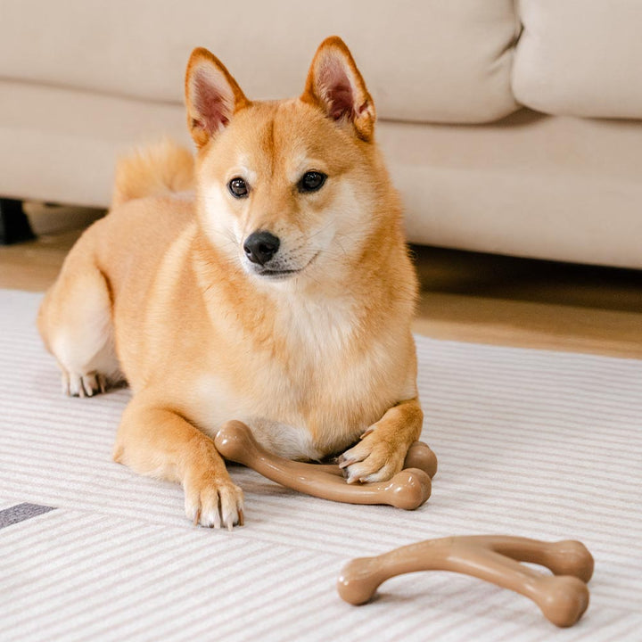 Interaktives Hundekauspielzeug für langanhaltende Zahnpflege. Robuster Kauspaß mit Aroma.