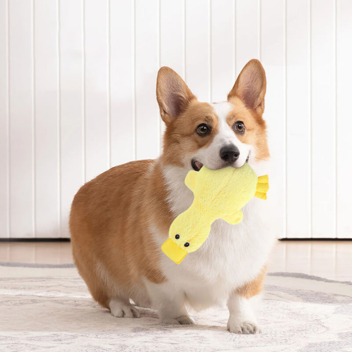 Interaktives Quietsch-Enten Kauspielzeug für Hunde, robustes Plüschtier fördert Spielspaß & Zahngesundheit.
