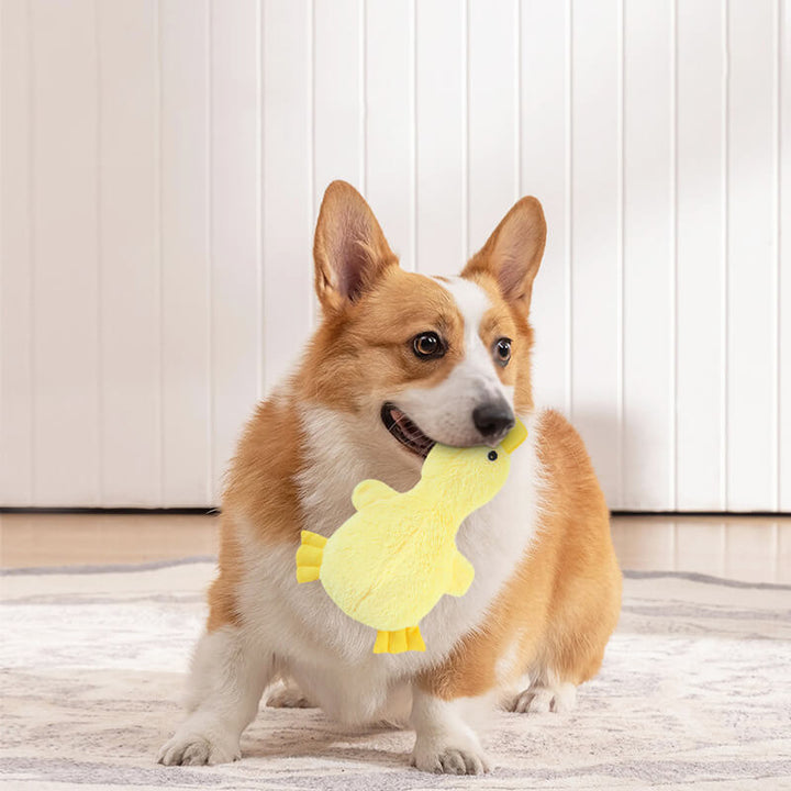 Langlebiges Plüsch-Entenspielzeug für Hunde mit Quietscher, perfekt zum Kauen und Apportieren.