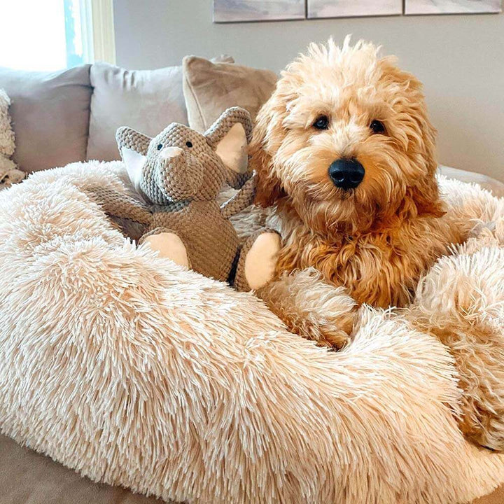 Modernes, rundes Hundebett: Flauschig weich, bietet Komfort und fördert tiefen, entspannten Schlaf für dein Haustier.
