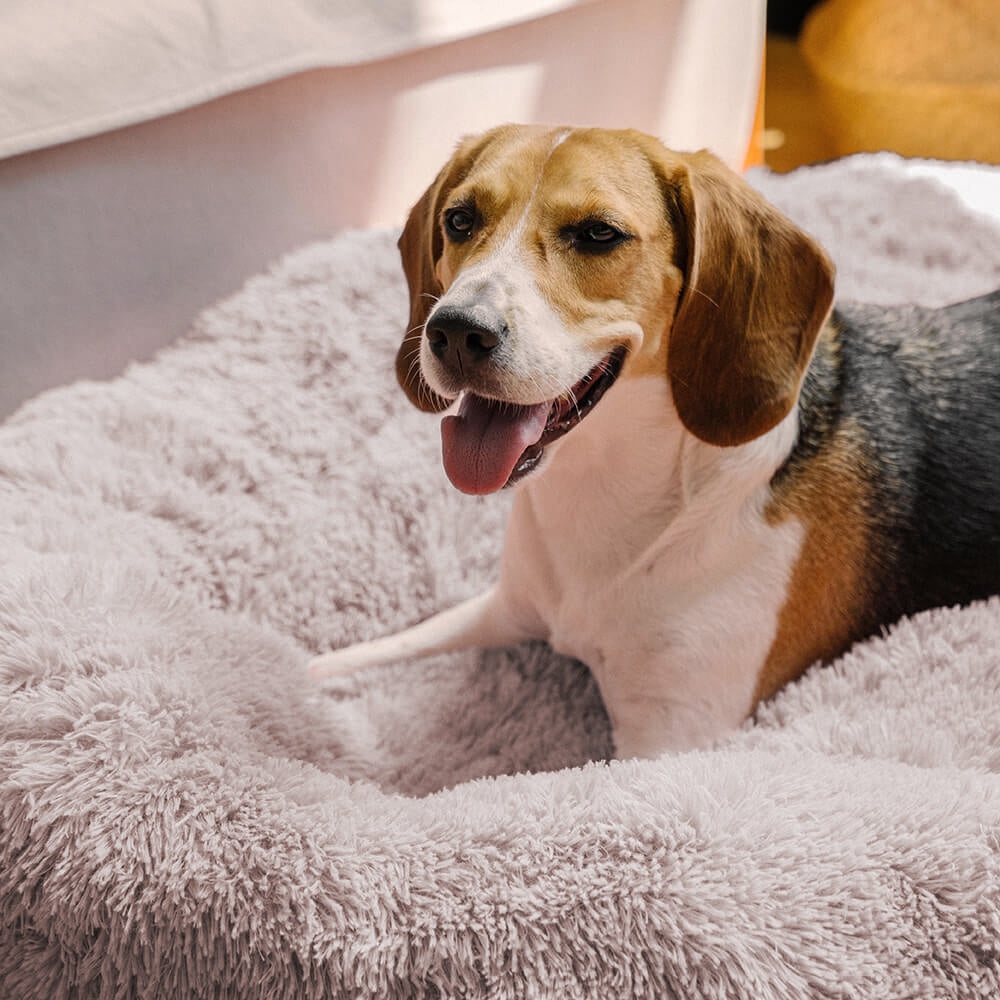 Waschbares, rundes Hundebett: Flauschiger Schlafplatz, weich und beruhigend für hygienischen Komfort.