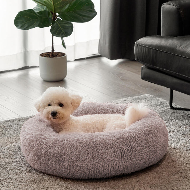 Graues, flauschiges Hundebett: Rundes Design, bietet Komfort und beruhigenden Tiefschlaf für dein Haustier.