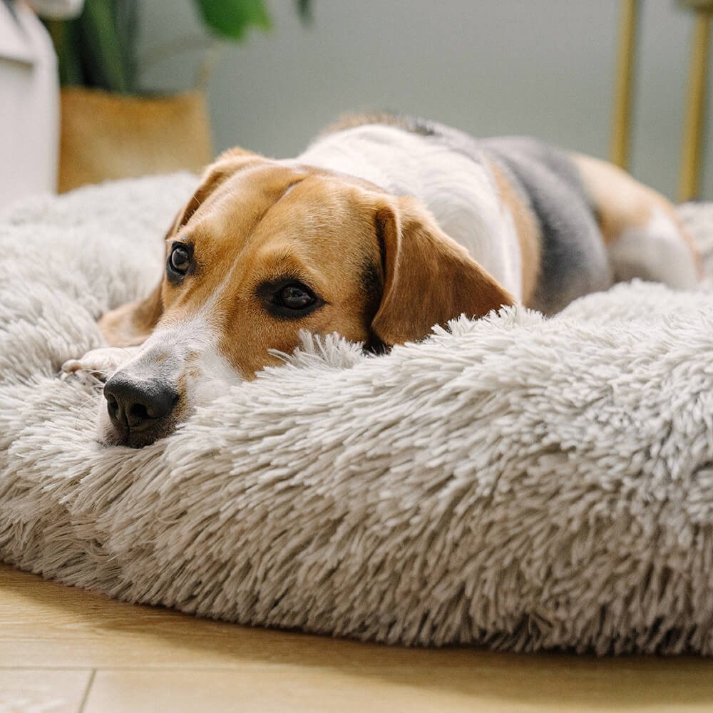 Weiches, rundes Flausch-Hundebett: Optimaler Schlafplatz, beruhigt und fördert tiefen, ungestörten Schlaf.