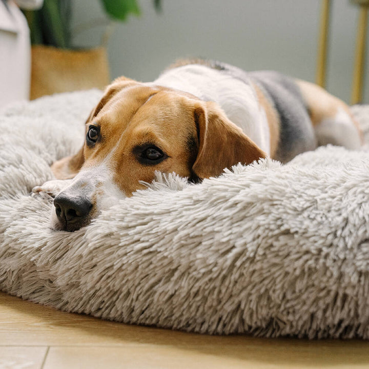 Weiches, rundes Flausch-Hundebett: Optimaler Schlafplatz, beruhigt und fördert tiefen, ungestörten Schlaf.