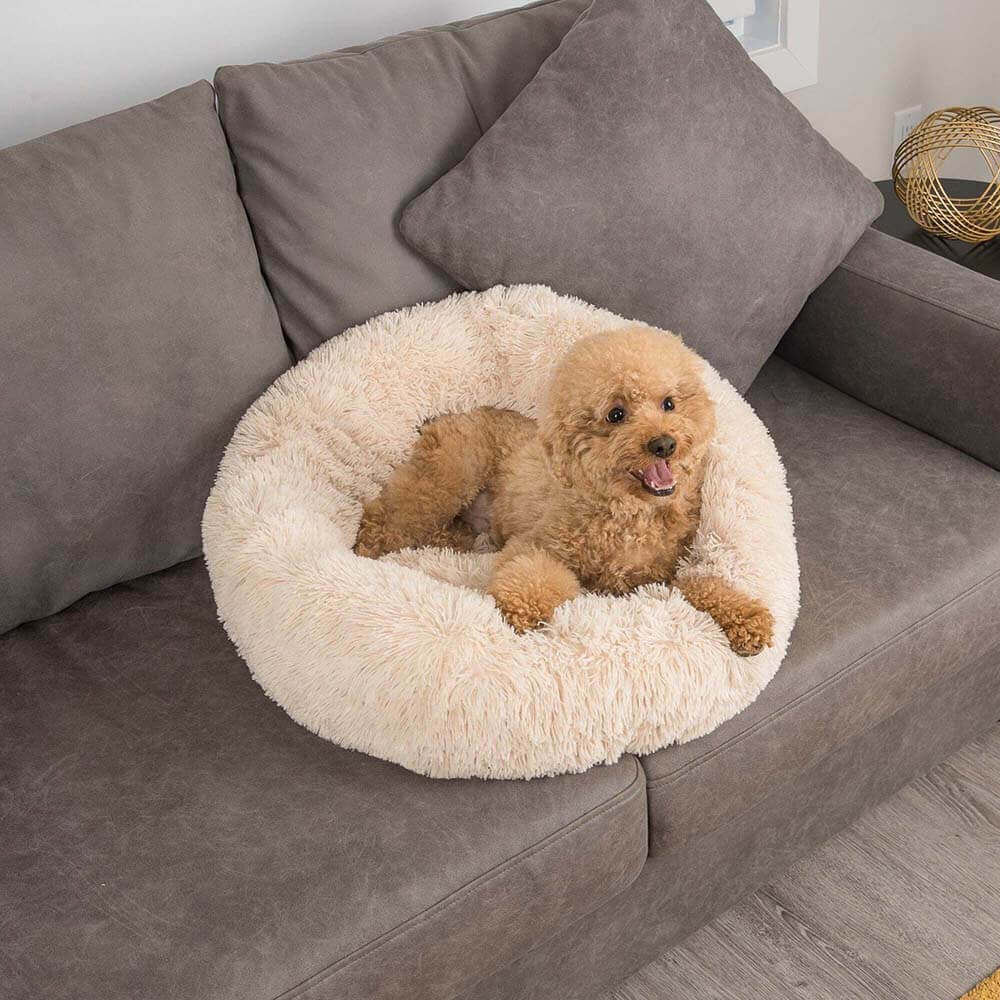 Einladendes, rundes Tierbett: Flauschig und weich, dieser Schlafplatz beruhigt Hunde für tiefen Schlaf.