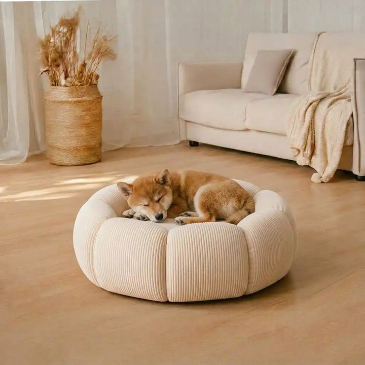 Waschbares, rundes Hundebett in weichem Material. Perfekter, hygienischer Schlafplatz mit Nackenstütze für Tiere.